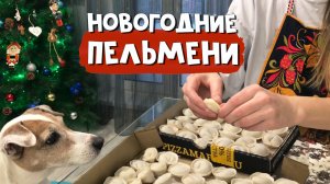 Как мы с Джеком Новогодние пельмени стряпали ???? Чуть сырыми не съели