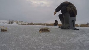 ОКУНЬ НА ВАУЧЕР 21.12.21. ПРУД ДУБКИ. САРАТОВ.