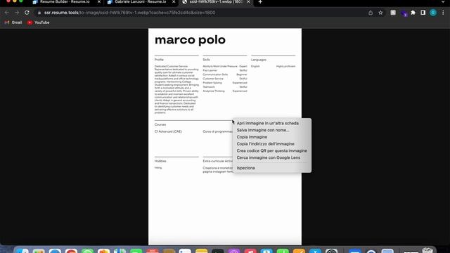Ottenere file PDF curriculum GRATIS (Resume.io) смотреть онлайн
