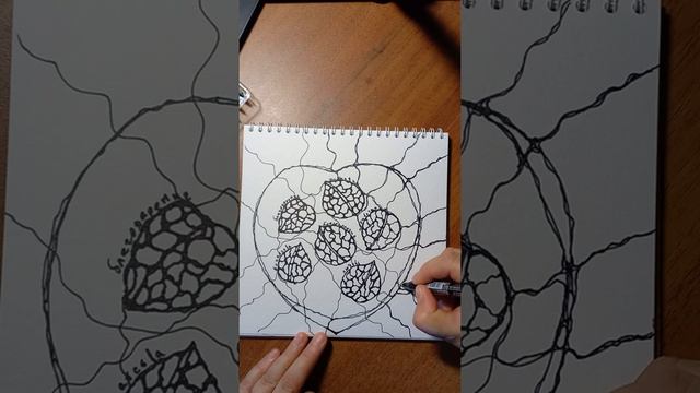 Орешки на счастье