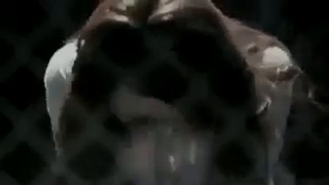 девушка оказалась парнем. смотреть онлайн