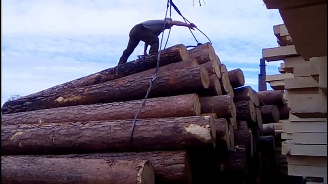 Стропальщик леса - Тяжелая и опасная работа стропальщика