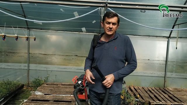 Дезинфекция анолитом помещений, теплиц, транспортных средств с помощью фогера (холодный туман).
