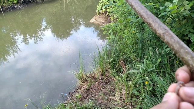 РЫБАЛКА НА УДОЧКУ ЗА 0 РУБЛЕЙ | РЫБАЛКА НА КАРАСЯ | ЗАРЫБЛИЛ ПРУД | УЛОВ ПОРАДОВАЛ!!! смотреть онлайн