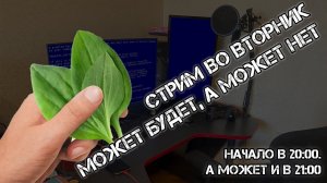 Стриму быть!