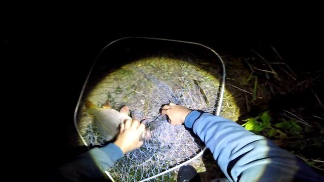 КАРП на АЙФОН 7 финишный закорм КУма смотреть онлайн