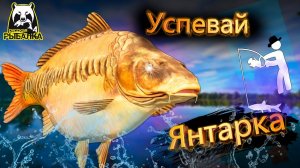 RF4 УСПЕЕШЬ ЗА НИМИ ТОГДА ОНИ ТВОИ #рр4
