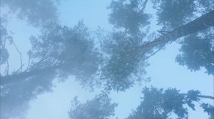 5 заданий от жены?ПОЧИСТИЛ ЗУБЫ ГЕЛЕМ ДЛЯ БРИТЬЯ.