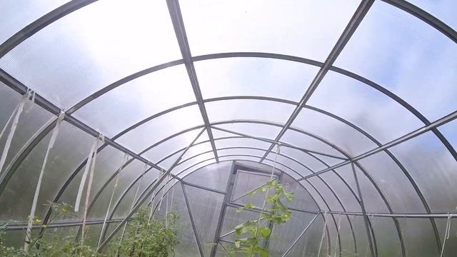 Дожди прошли , пора косить траву не косой и серпом , а триммером . смотреть онлайн