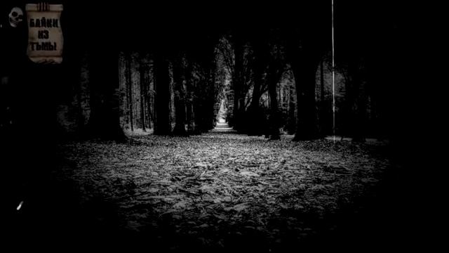 Ночь в машине смотреть онлайн