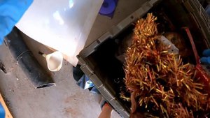 Аукцион контейнеров в США - Получили склад бесплатно | Заработаем?