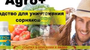 Борьба с сорняками на газоне гербицидами