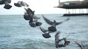 Симферополь или Ялта?! Планирую переезд. Мысли в слух.