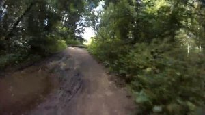 Лесная дорога на озеро Тряпка (Торфянка) в Лосином острове (Королев)
