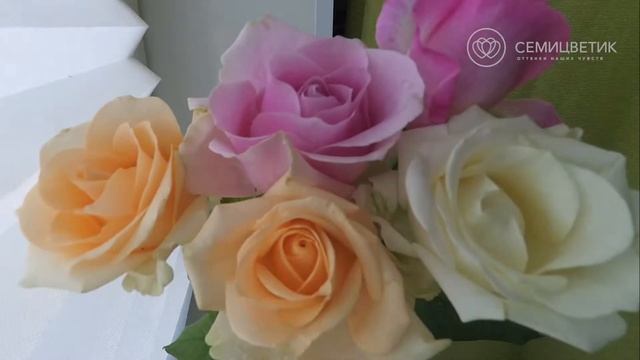 Букет из 45 белых роз в Шляпной коробке (Россия) смотреть онлайн