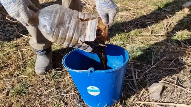 Волшебное органическое удобрение течёт как нефть. Ноу-хау: КОМПОСТНИК смотреть онлайн