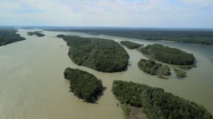 Село Верх-Обское. Родина Михаила Евдокимова.