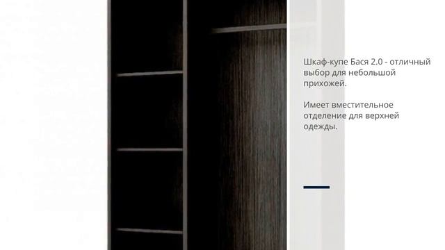 Шкаф-купе "Бася" 2,0 (комби) смотреть онлайн