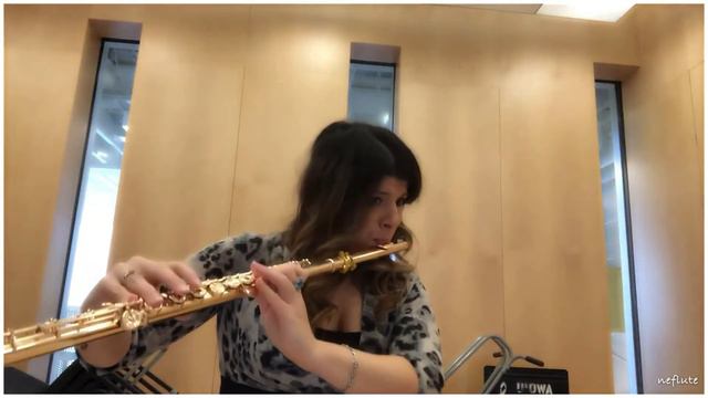 J. Andersen Flute Etudes Op. 33 #8 смотреть онлайн