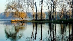 Красивая музыка... (Anas Otman)