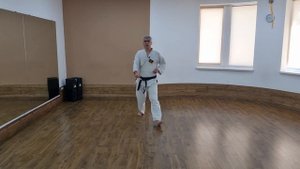 Комбинация: Блок gedan barai/удар gyaku-zuki/стойка zenkutsu-dachi