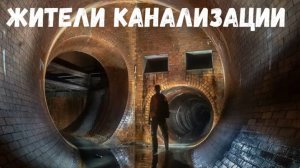 Страшная история.  Жители канализации.