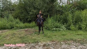 Воскресный рынок лошадей Урус-мартан.