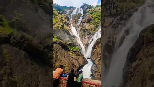 dudhsagar waterfalls  #goa #waterfall #travel #trending #train #daku