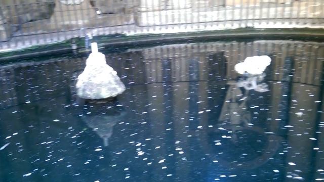 Сады Боболи смотреть онлайн