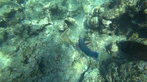 ЕГИПЕТ //  ЛУЧШАЯ БУХТА НААМА БЕЙ!!! ЧТО ПРЕДЛАГАЮТ НА ПЛЯЖАХ? ОБЗОР ПЛЯЖА ОТЕЛЯ NOVOTEL SHARM