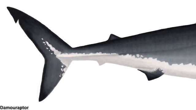 The Shark That Ate Dinosaurs - Cretoxyrhina смотреть онлайн