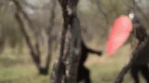 Гардарика. Древняя Русь. Добро пожаловать в Гардарику!