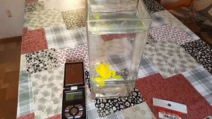 Видеообзор силиконовой лягушки незацепляйки Kosadaka Live 3D Frog по заказу Fmagazin.ru