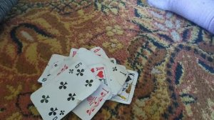 Как научится играть свинью