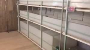 Первый опыт в  УЗВ для австралийских раков