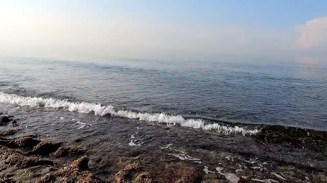 Что происходит с морем? Наша жизнь в Турции. Алания. Махмутлар.