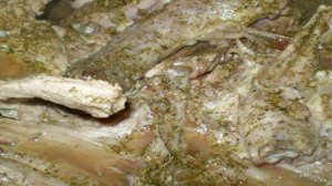 Утка тушенная с помидорами и чесноком