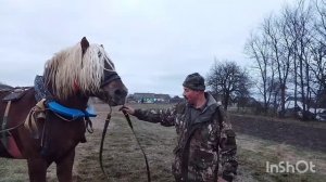 ЛИТОВСКИЙ ТЯЖЕЛОВОЗ БАСТИОН СЛОМАЛ ОГЛОБЛЮ В ТЕЛЕГЕ