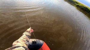 Тонны рыбы в реке, ванна за 20мин или как мы кастинговую сеть кидали! Рыбалка на кастинговую сеть.