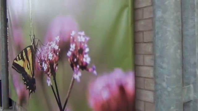 Идеи для сада из Кокенхова. ВЫставка цветов. Марина Линдхолм смотреть онлайн