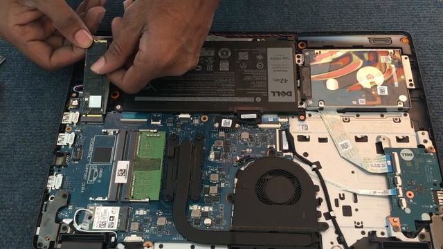 Dell Inspiron 15 3501 M.2 NVMe SSD Upgrade | Disassembly смотреть онлайн
