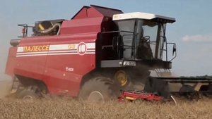 десна - полесье GS 10