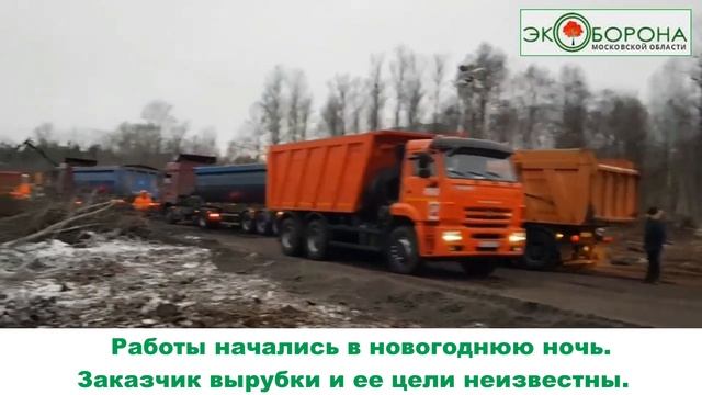 Лосиный остров беспощадно рубят - видео от 4 января 2023 года