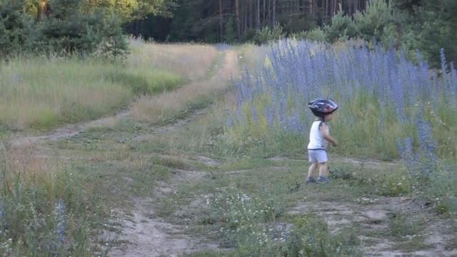 3 июня всемирный день велосипеда. #Прицеп для велосипеда для перевозки двоих детей