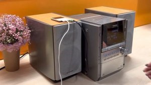 Panasonic CD Stereo System SA-PM28
