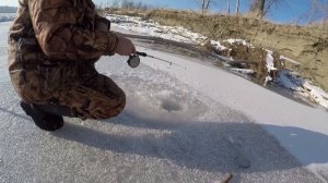 СИБИРСКАЯ ОБЬ НАЧАЛА УГОЩАТЬ ТРОФЕЯМИ! КРУПНЫЙ ОКУНЬ, СУДАК ПО ПЕРВОМУ ЛЬДУ