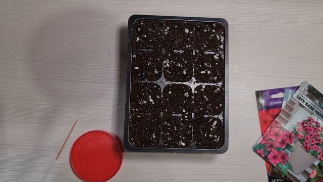 Лучше ПЕТУНИИ! Цветёт ВСЁ ЛЕТО! Растёт НА СОЛНЦЕ и В ТЕНИ! смотреть онлайн