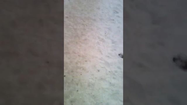 Духа 5 лет вернулся,обзор на открытую Волгу с Духой 5 лет смотреть онлайн