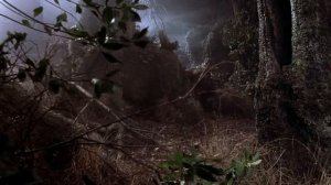 в компании волков 1984