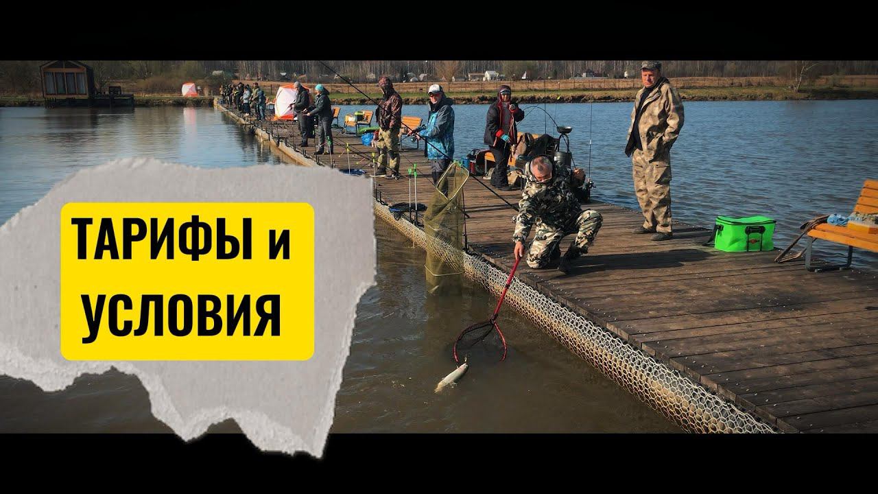 Тарифы и условия